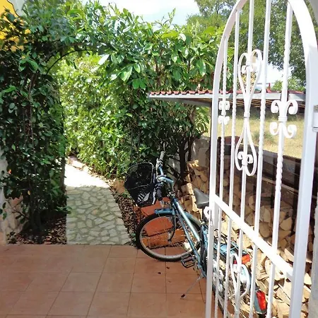Anaangela *