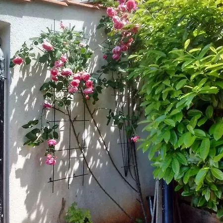 Anaangela Holiday home